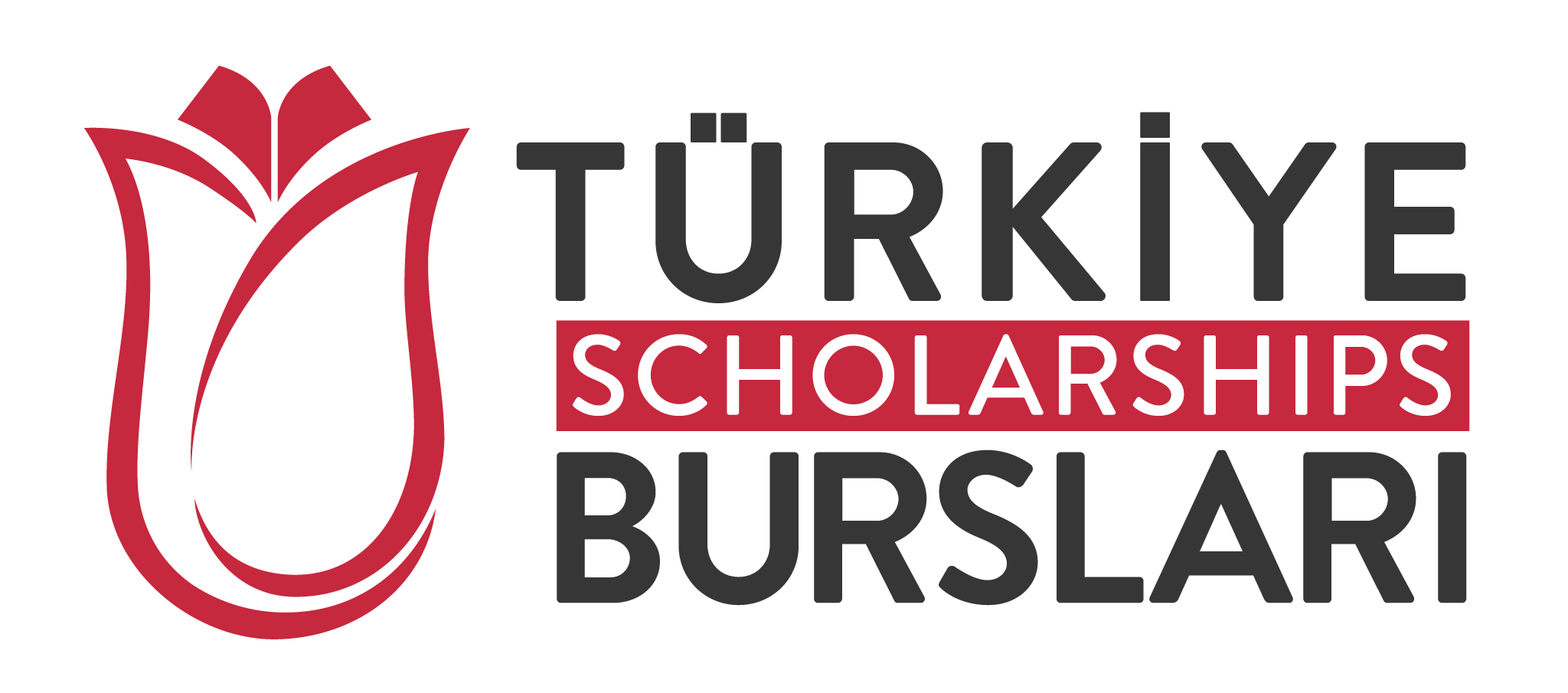 Türkiye Bursları (YTB)